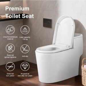 Tapa asiento de inodoro