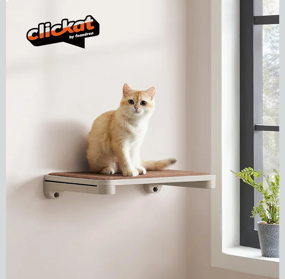 Feandrea Plataforma de pared