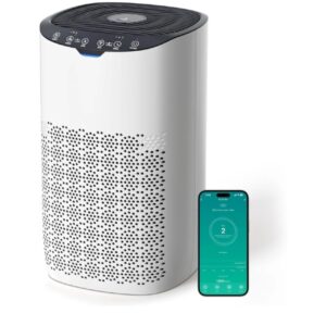 AROEVE Purificador de Aire para Hogar