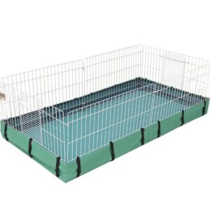 Base Guinea Pig Midwest - Verde
