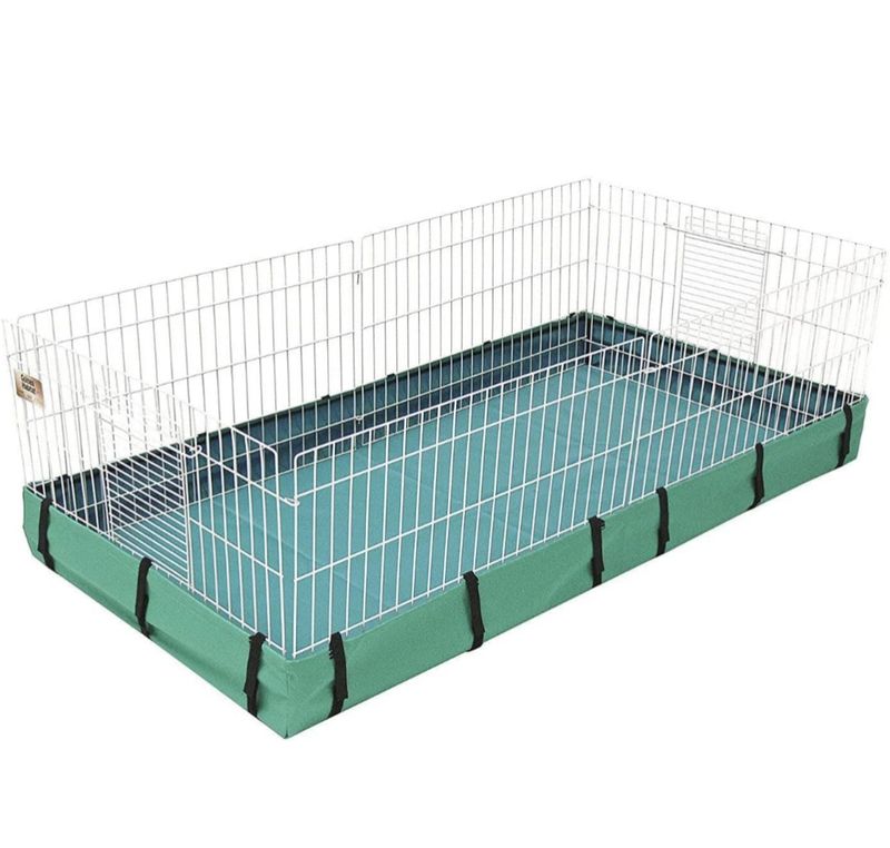 Base Guinea Pig Midwest - Verde