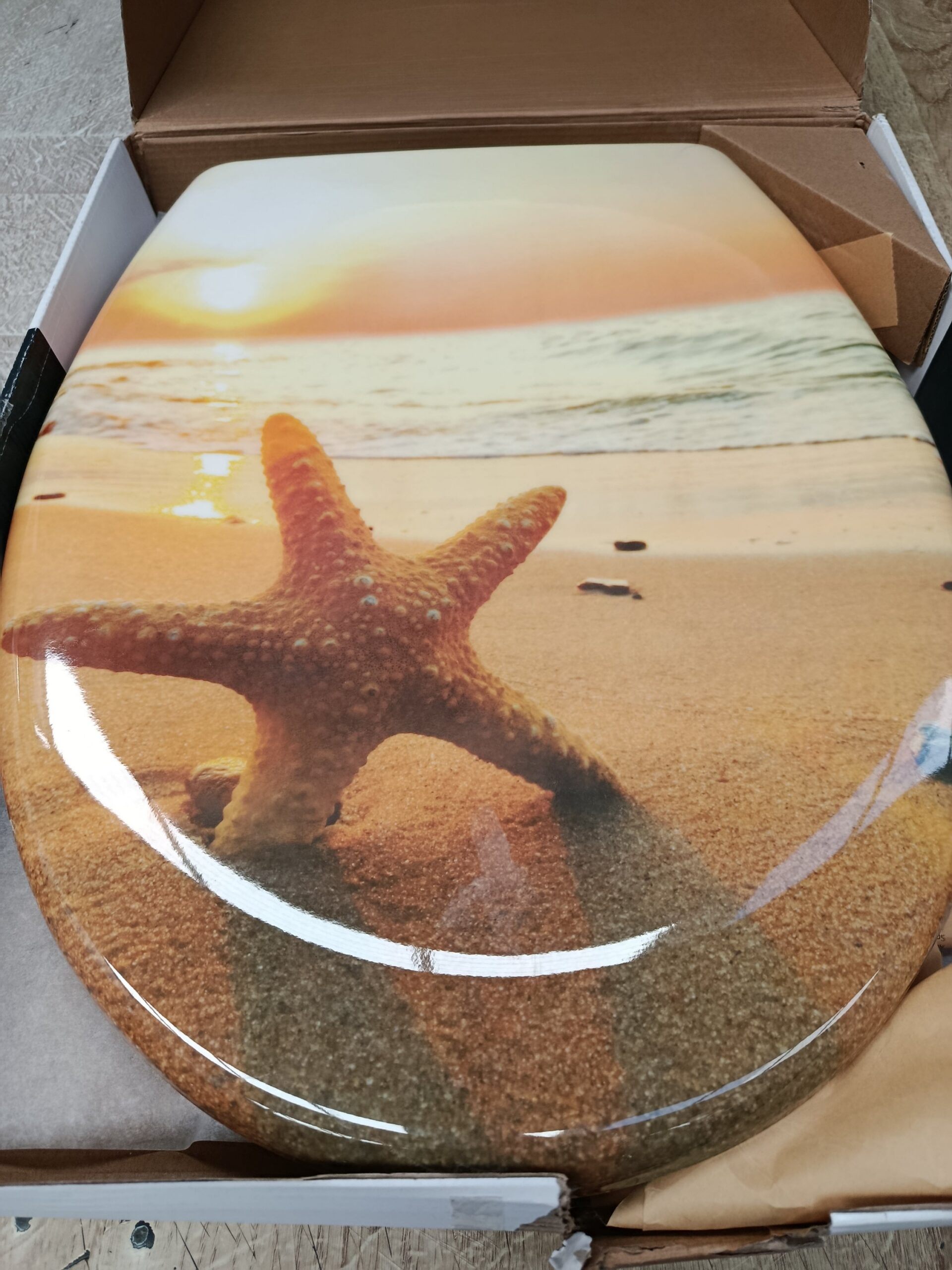 Asiento de inodoro - Sea Star 82373 - SCHÜTTE - Imagen 5