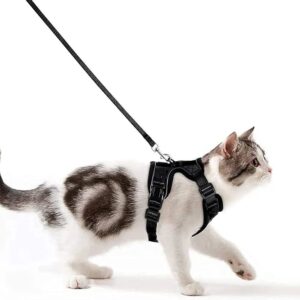 Arnés para Gato - 150cm - Wdmiya