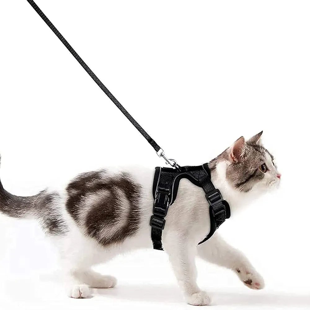 Arnés para Gato - 150cm - Wdmiya