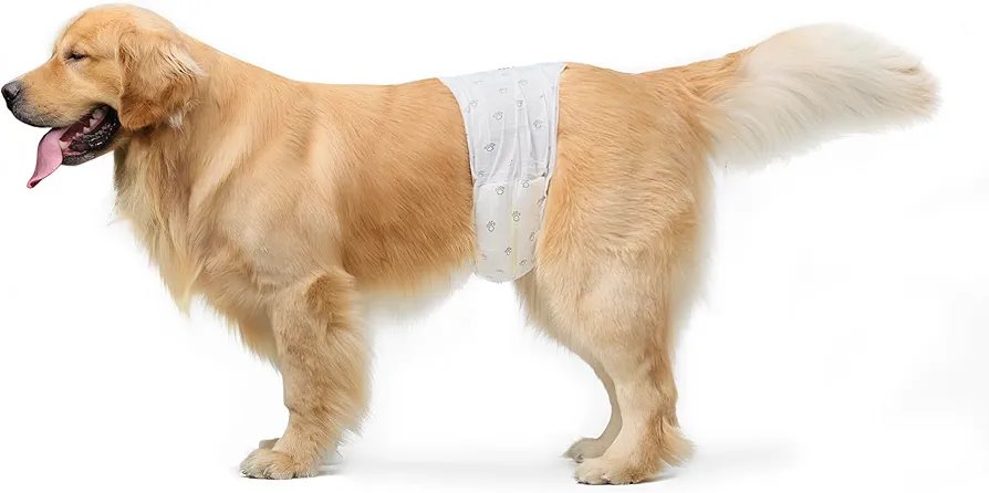 Pañales Desechables - Grande 50 - Amazon Basics - Imagen 3