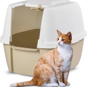 ARENERO GATO.