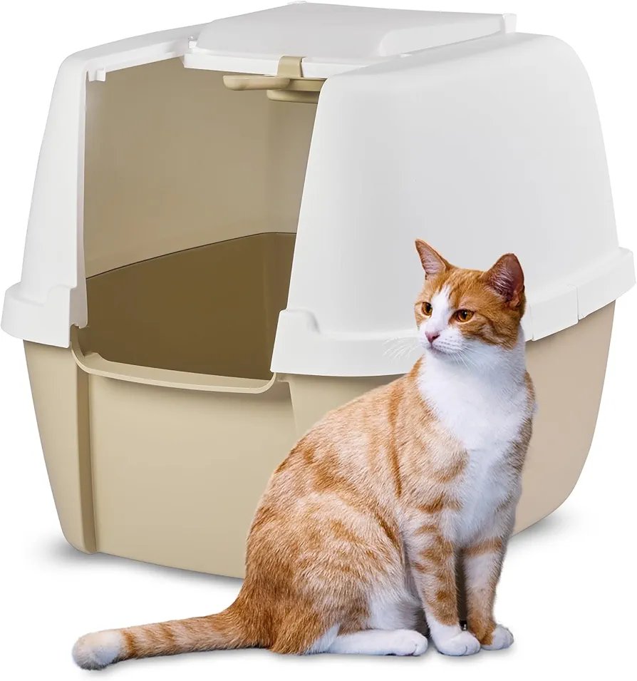 ARENERO GATO.