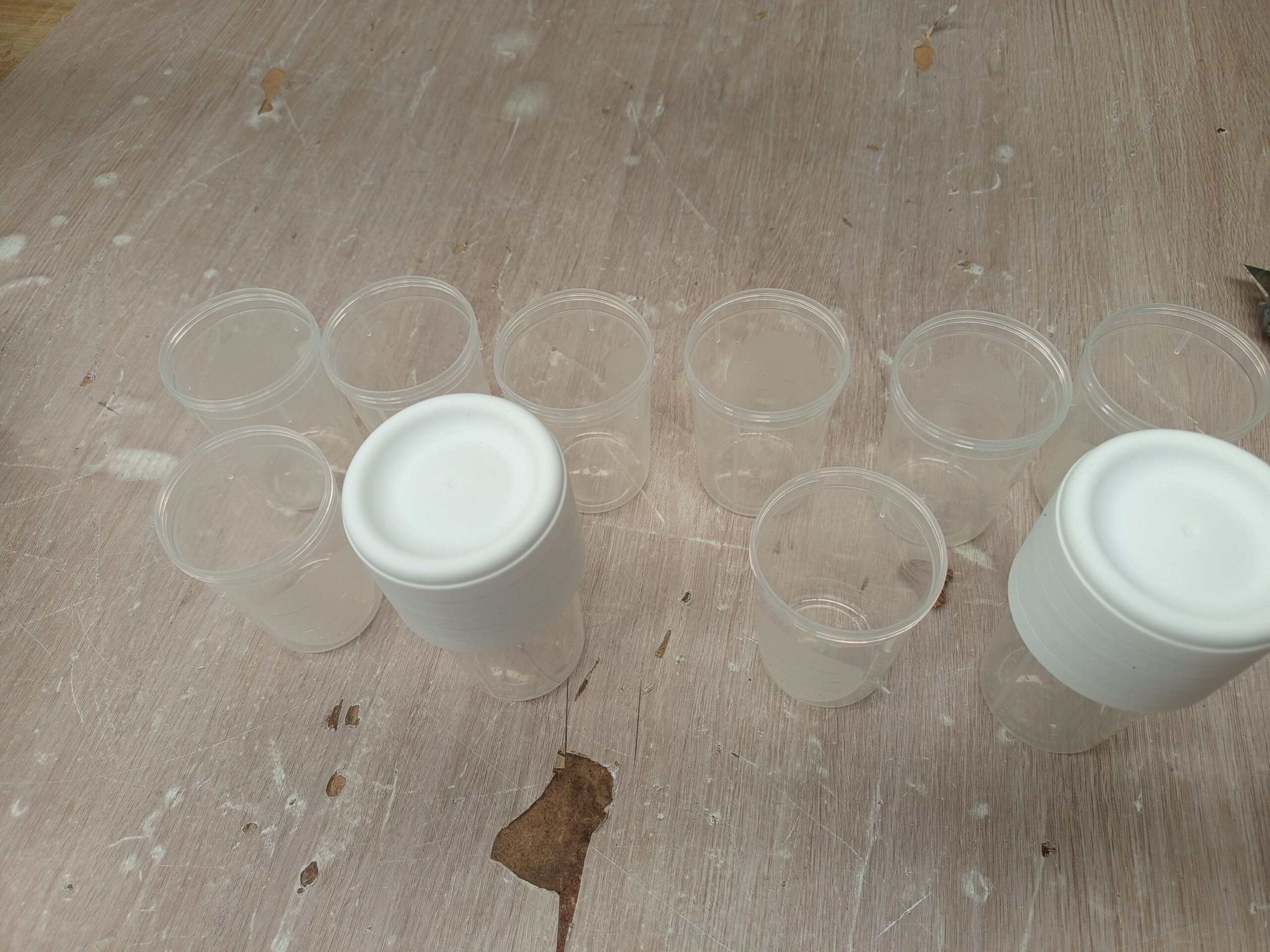Suavinex Tarros de Almacenaje con Rosca 10 unidades - Imagen 2