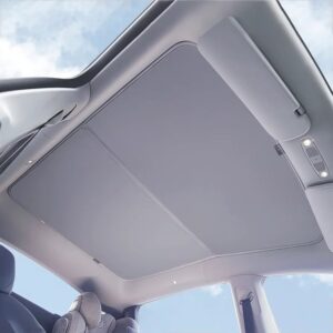Parasoles de Techo - Model Y 2024-2020 - VION.