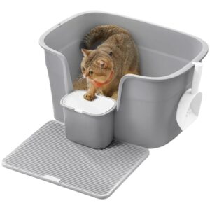 Feandrea Caja de Arena para Gatos PPT003G01