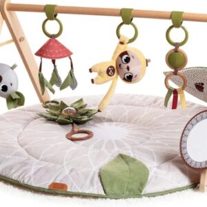 Tiny Love Luxe Developmental Gymini
