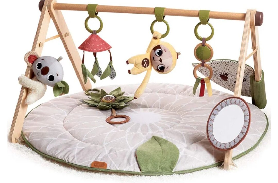 Tiny Love Luxe Developmental Gymini