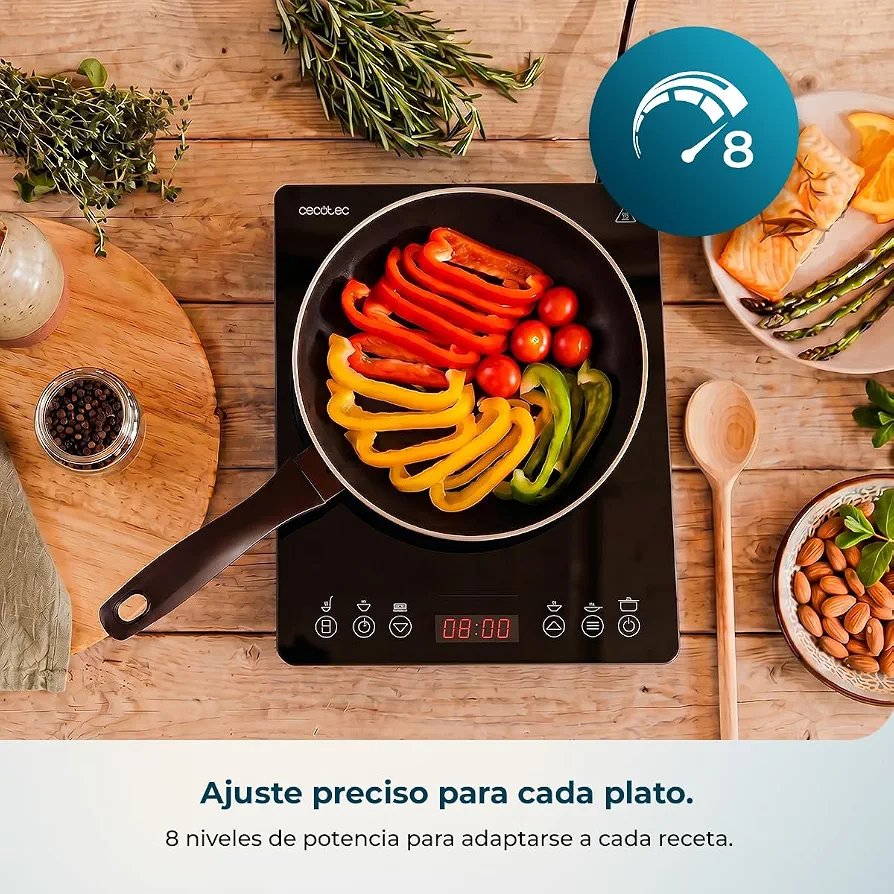 PLACA DE INDUCCION - Imagen 2