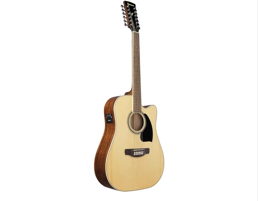 Ibanez Performance Series PF1512CE-NT.