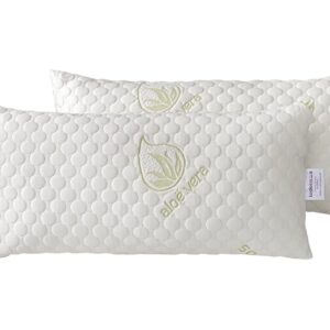 JUEGO DE 2 ALMOHADAS