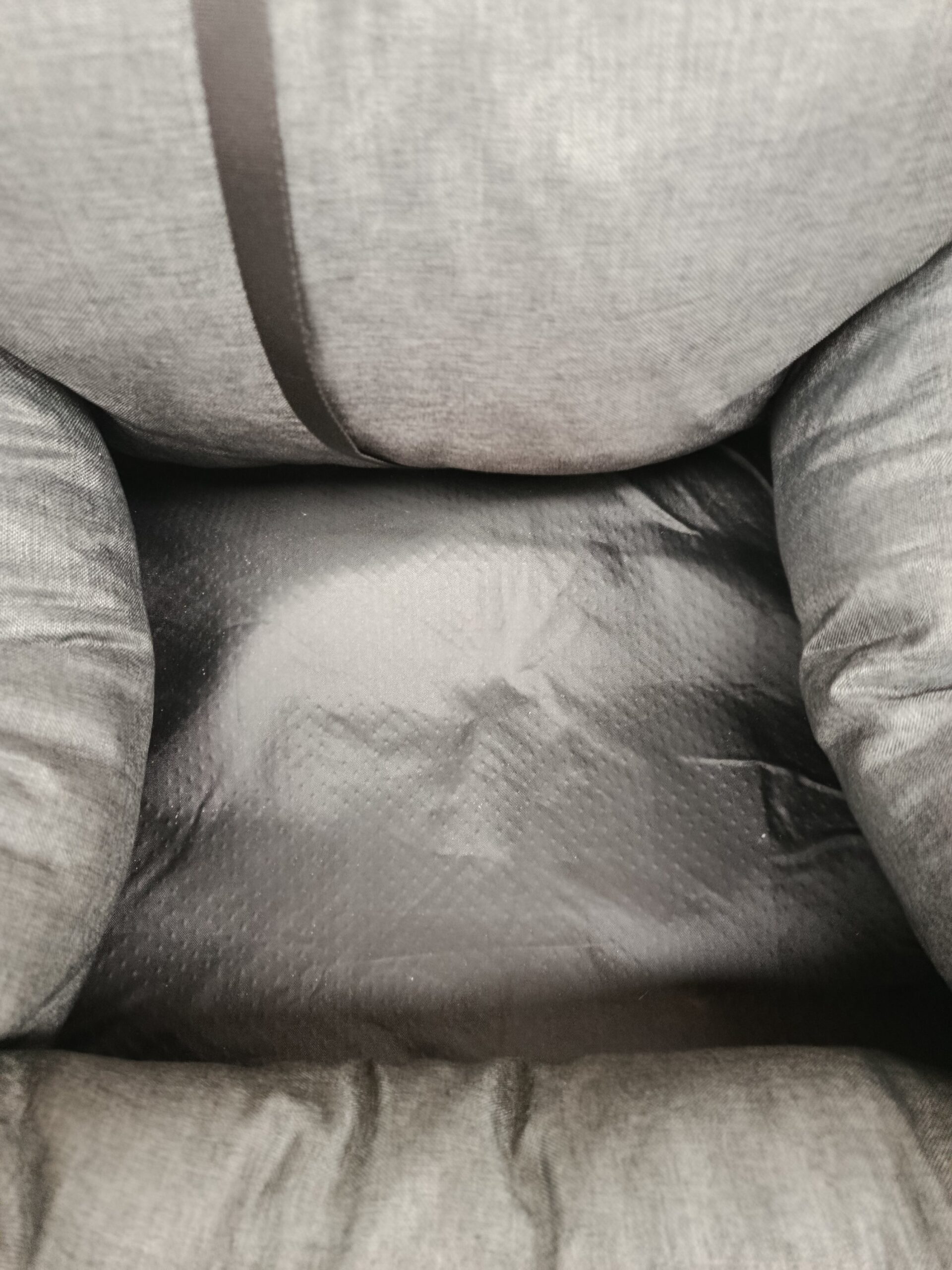 PETEPELAA ASIENTO PARA PERROS CON CINTURÓN DE SEGURIDAD - Imagen 7
