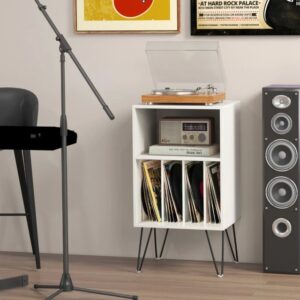 COSTWAY JV12749DE-WH Soporte para toca discos