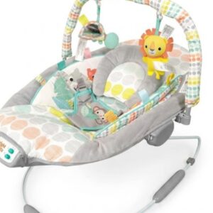 Bright Starts Whimsical Wild Hamaca