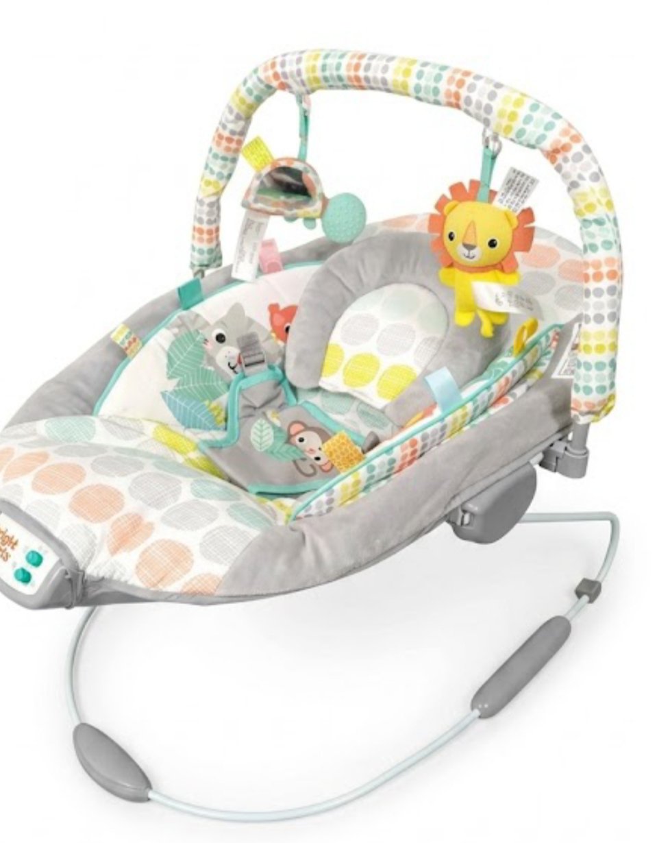 Bright Starts Whimsical Wild Hamaca