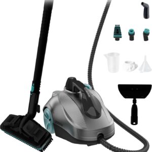 cecotec vaporeta.