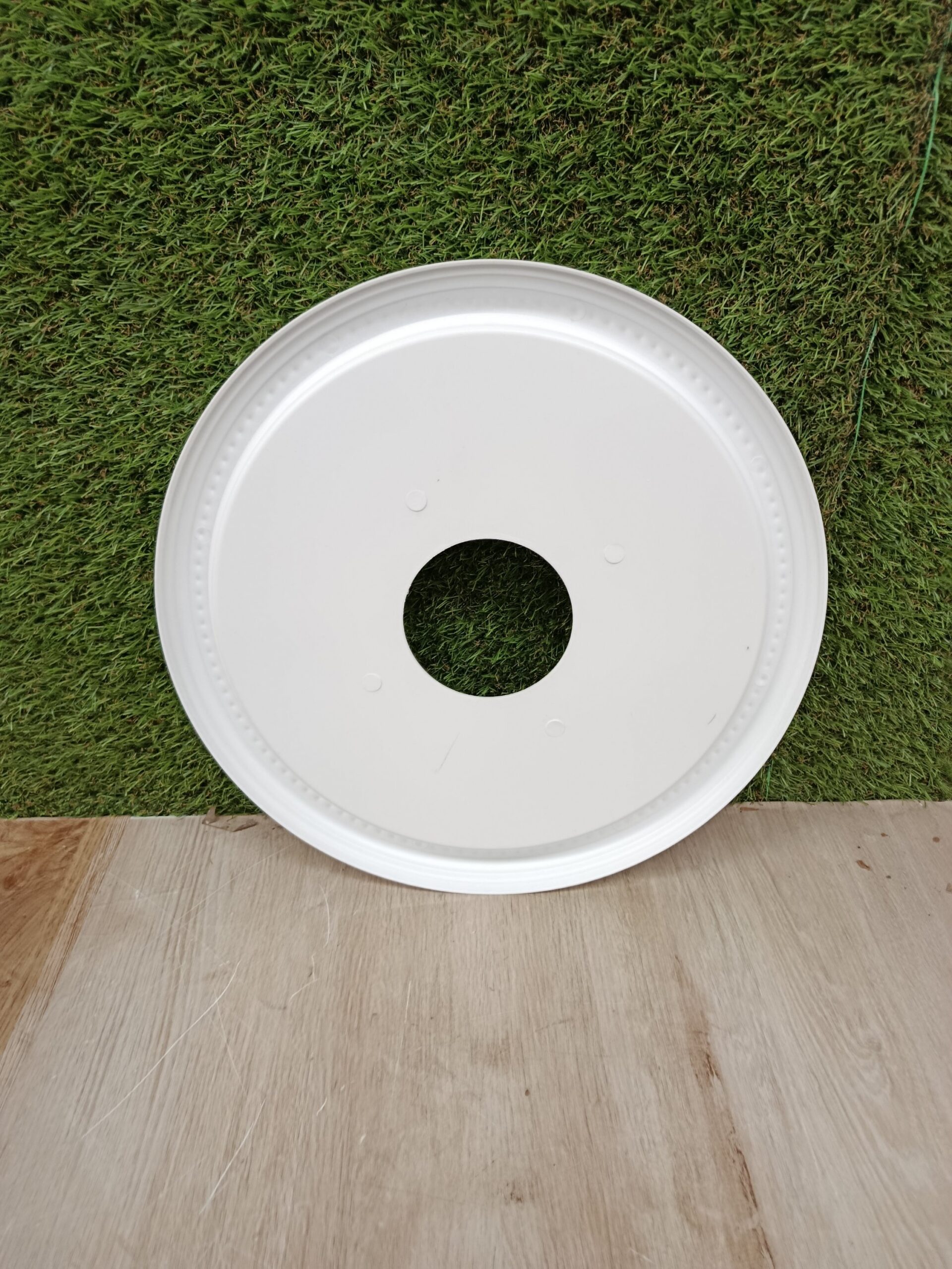 westinghouse Lighting - Imagen 4