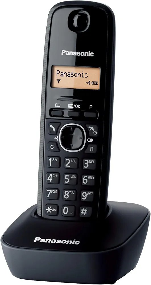 Panasonic KX-TG1611SPH Teléfono Inalámbrico Digital