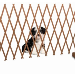 maxxpro Barrera Extensible para Perros