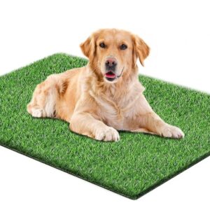 Césped Artificial para Perros
