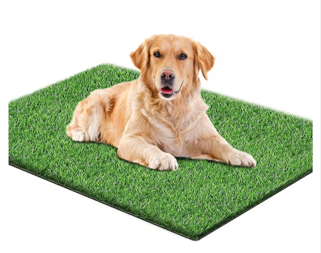 Césped Artificial para Perros